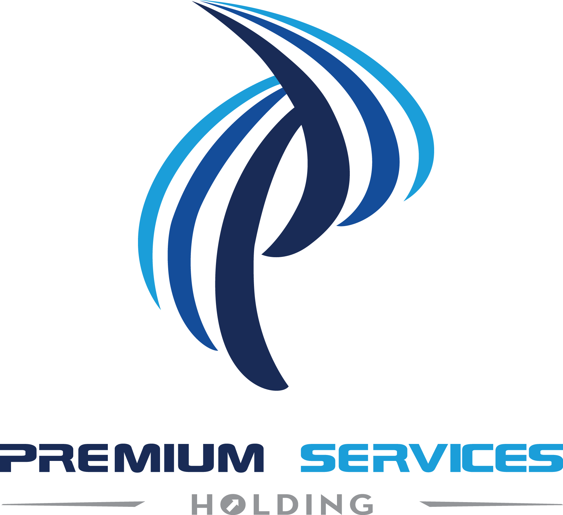 logo_premium services